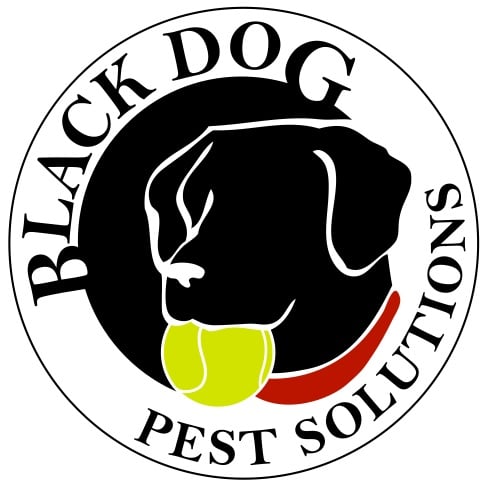 black dog pest solutions logo